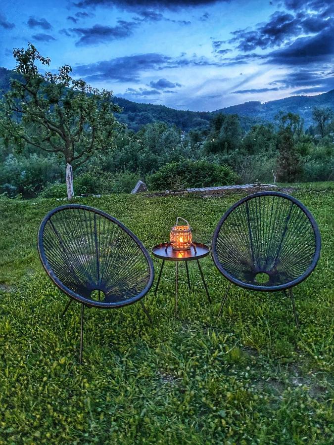 Casa Chira Hotell Vişeu de Sus Eksteriør bilde