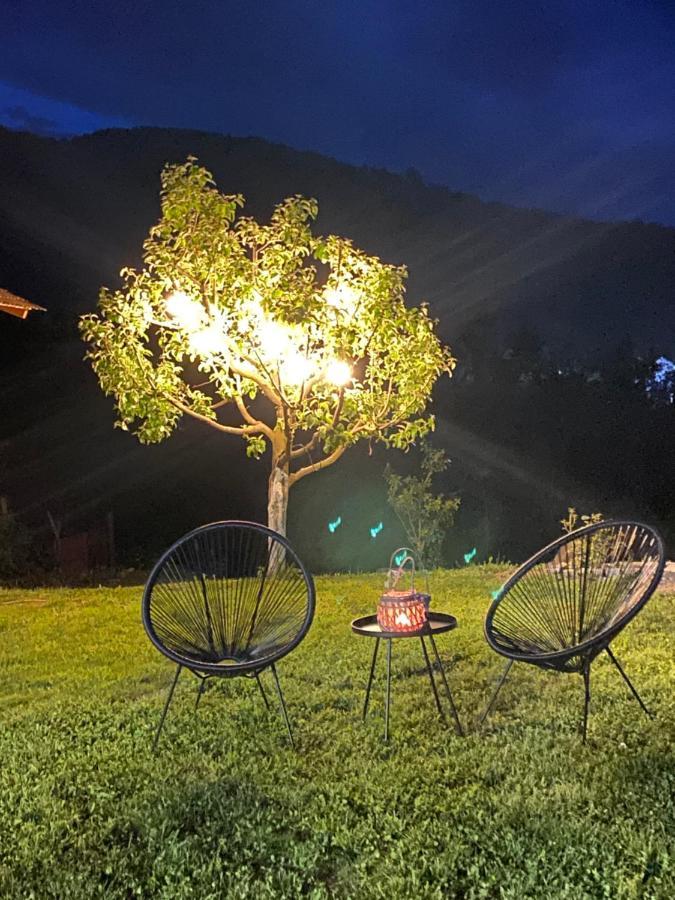 Casa Chira Hotell Vişeu de Sus Eksteriør bilde