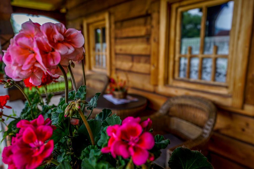 Casa Chira Hotell Vişeu de Sus Eksteriør bilde