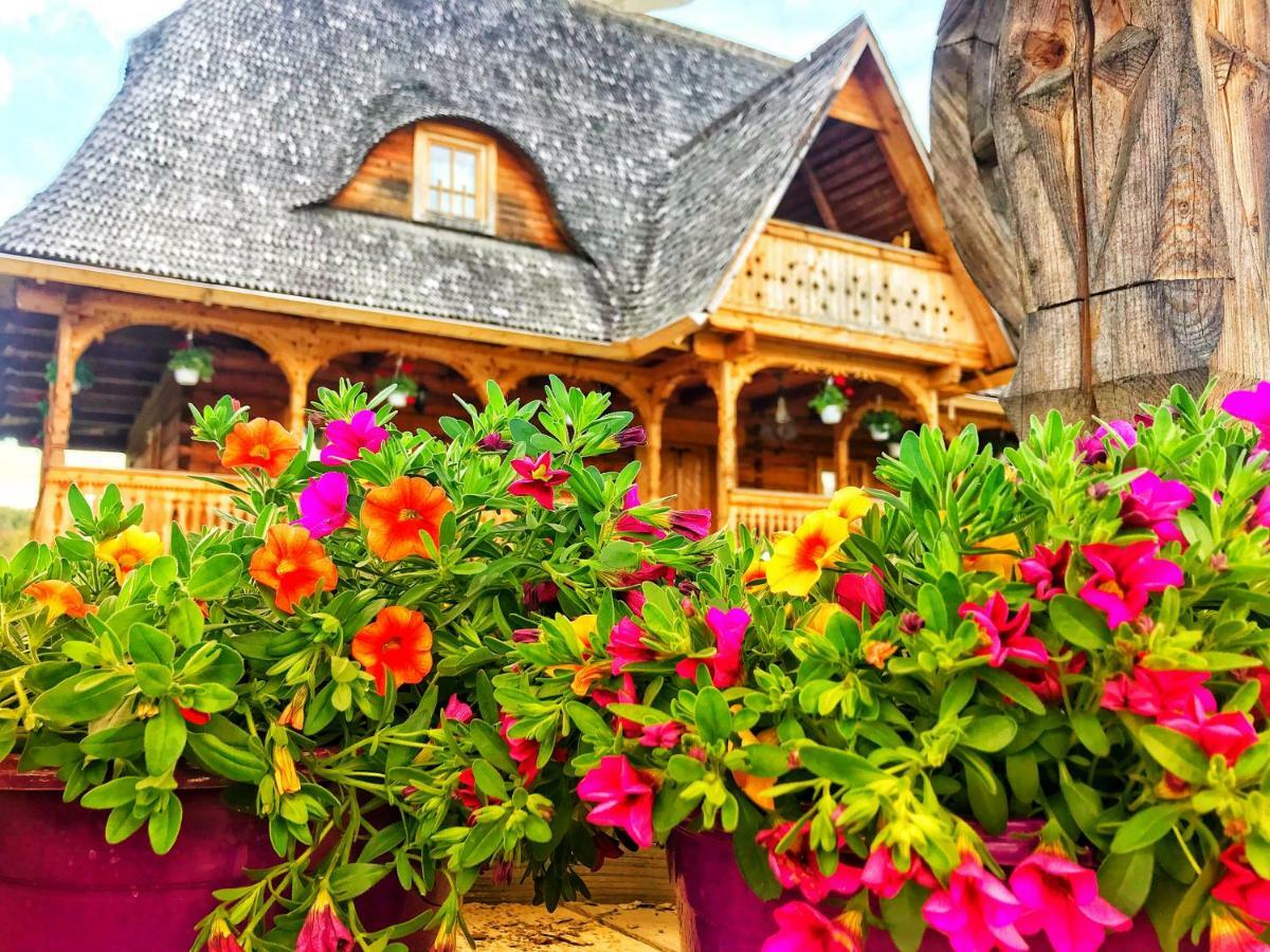 Casa Chira Hotell Vişeu de Sus Eksteriør bilde